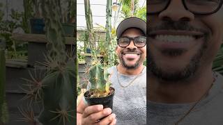 Plantkeeper Inc Has Some Beautiful Cacti plants cactus ferocactus