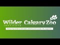 Are You Ready To Be Wilder 