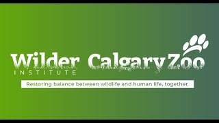Download Lagu Are you ready to be wilder? MP3 Download Lagu Are you ready to be wilder? MP3