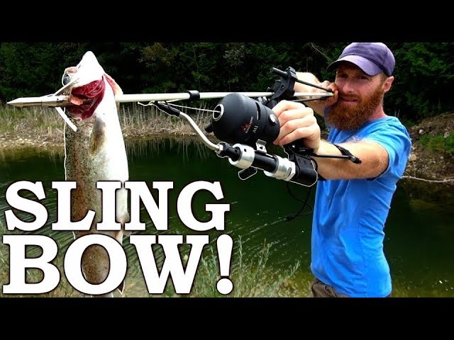 Do bowfishing rules apply to slingbow fishing? How should I attach the line  to the arrow? 