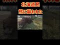 北海道民が熊に襲われて適切な対処 #ホラフキン #熊　#襲われる