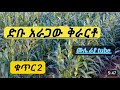 ድቡ አራጋው ተሰምቶ የማይጠገብ ቅራርቶ Dibu Aragawu የራያ እጅግ ግረም ቅራርቶ Raya Music