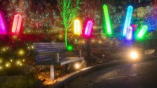 Know Before You Go: Night Lights 2025