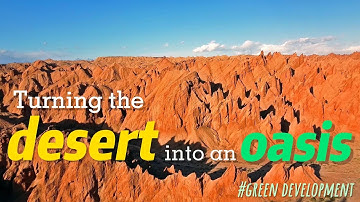 Turning the Desert into an Oasis