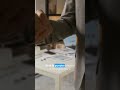 Deja de usar la IA para chatear y empieza a ganar dinero de verdad.