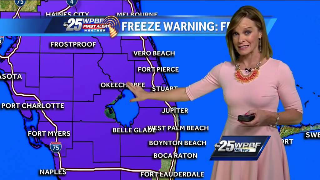 Cold air invades South Florida, freeze warnings Thursday night - YouTube