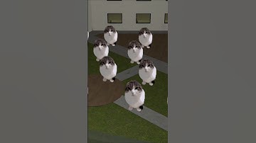 My nightmares with cats #gmodnextbot #nextbotchasing #nextbots #memes #garrysmod #gmod #funny