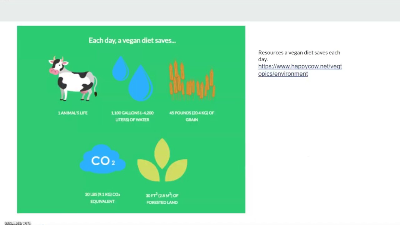Environmental Benefits of a Plant Based Diet!