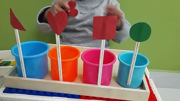 Shapes Sorting Activity for Kids | Learn Shapes | Educational Videos for Toddlers