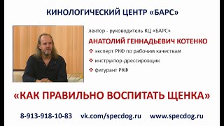 АНОНС к курсу по воспитанию собаки. Кинологический центр Барс. Дрессировка собак в Новосибирске. АНОНС к курсу по воспитанию собаки. Кинологический центр Барс. Дрессировка собак в Новосибирске.