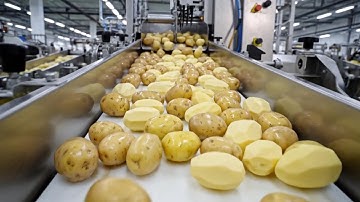Inside a Potato Chips Factory: How Lay’s-Style Chips Are Made With Perfect Precision
