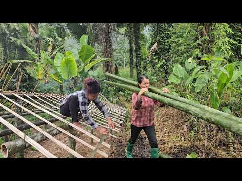 Full video: 120 days to build a bambo0house. Let's see the process from start to finish