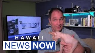 What the Tech: This app helps you decide if your pet needs emergency care screenshot 5