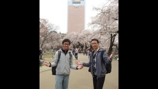 [Wisata Jepang] Hanami Sakura Fahmi
