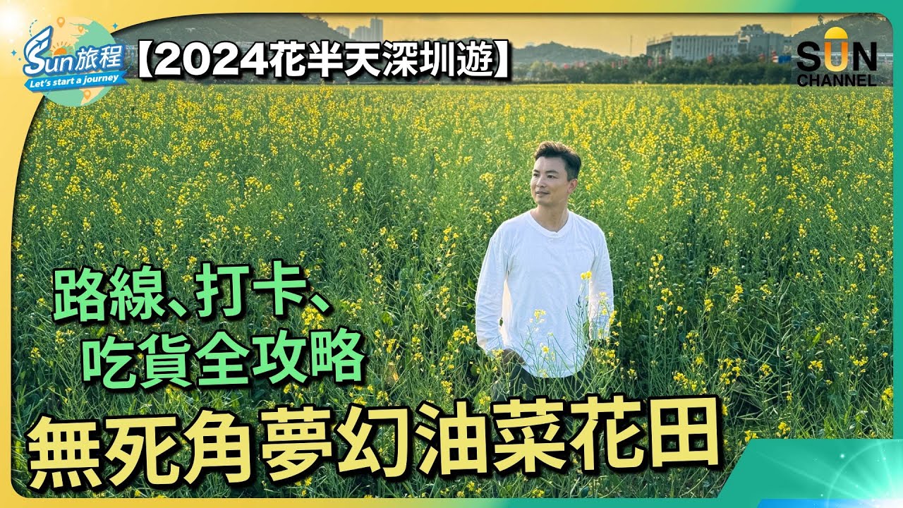 【油菜花田 深圳光明小鎮 歡樂田園 】香港即日來回深圳最大油菜花田，實拍心得前往路線分享光明城站｜#14 Sun旅程_20240229