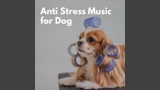 Sparkling Music for Late Talk