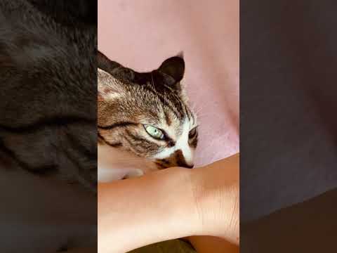 なめんなよ♪