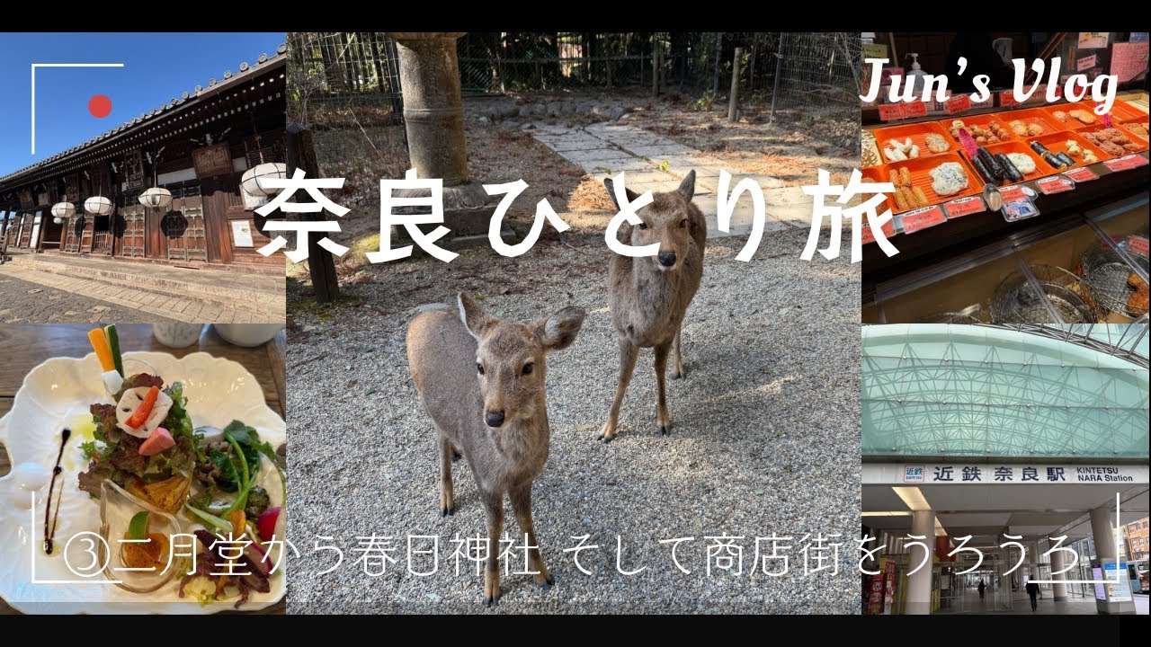 【奈良Vlog】奈良ひとり旅③二月堂から春日神社 そして商店街をうろうろ