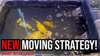 Moving Fish and Coral: What I’m Doing Differently This Time! | Hilary On The Move!