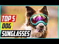 Top 5 Best Dog Sunglasses for 2024