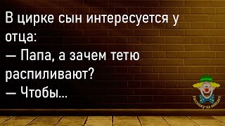 В Богатой Семье Была...Большой Сборник Смешных Анекдотов,Для Супер Настроения!