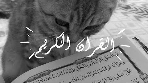 القرآن الكريم هو جنة، هو رفعة ، هو هداية، هو سبيل إسعاد ودربُ أمان🫀