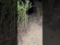 penampakan hantu nyata sangat jelas!!! #misteri