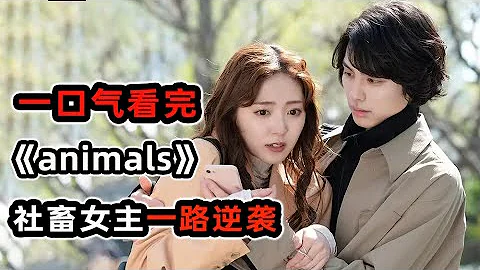 社畜女主飛上枝頭變鳳凰，遇上套路年下小奶狗，分分鐘拿捏大姐姐！一口氣看完《animals》！ - 天天要聞