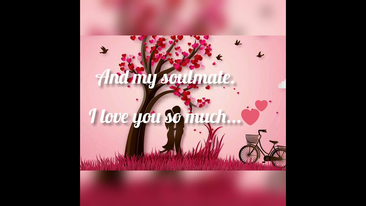 true love whatspp status/quotes lover/Music: FeelMusician: LiQWYD/