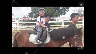 Gallop Stable with Kids