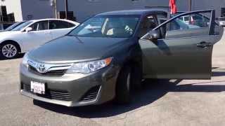 2013 Toyota Camry LE Dark Green 2013 Toyota Camry LE Dark Green