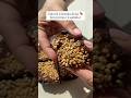 Zdraviji čokoladni kolač bez pečenja (samo 4 sastojka) 🤎 #mama #kuhinja #viral #recept #recipe