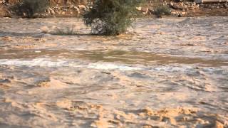 شعيب غيانه  18/6/ 1434