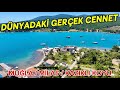 EGE KASABASI HAYALİ GERÇEK OLUYOR / DENİZE 100 mt 243 m2 SATILIK ARSA / No:553
