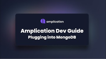 Amplication Dev Guide: Plugging into MongoDB