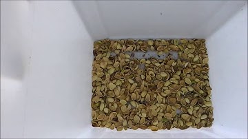 Removing Fines, Small Sticks & Loose Shell from Pistachio Nuts