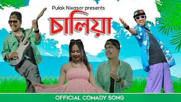 Saliya - Official comedy song | Pulak Nixasor | new Assamese song 2023 - 24 | ami Gaor a modahi