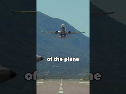 What Is A Yoke In An Airplane
