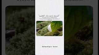 #dua #sabr#sukur #kendinisevmek #viralshort