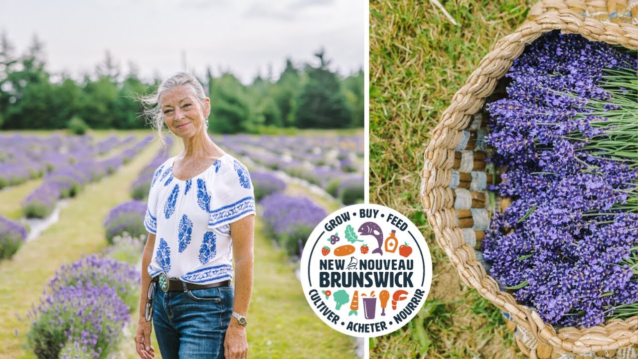 Culinary Lavender | Lavender at Ocean Breeze Farm