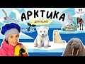 Мандруємо в Арктику відео для раннього розвитку дітей українською