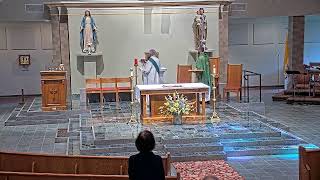 Daily Mass, Friday, July 17, 2026