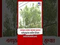 Nagpur Rain | नागपुरात हलक्या पावसाला सुरूवात नागपुरकरांना काहीसा दिलासा