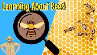 Bees and Beekeeping for Kids by The Ranger Zak Show 149,618 views 2 years ago 15 minutes