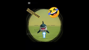 funny shark meme in chicken gun 😂😂 | chicken gun build