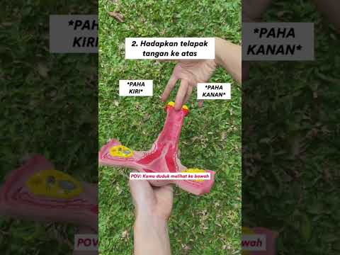 Video: Apakah itu serviks yang tegang?