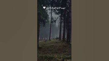 ما تيسر من سوره القصص الاية 77 #تذكير_يومي #اكسبلور #حديث_شريف #راحة_القلب #قرآن#السعودية #المغرب