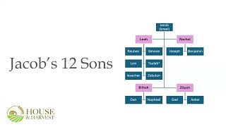 Digging Deeper: Genesis Introduction and Chapters 1 - 2:1-27 March 2nd, 2026