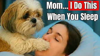 The One Strange Thing Your Dog Does Every Night While You Sleep — And You Never Even Knew