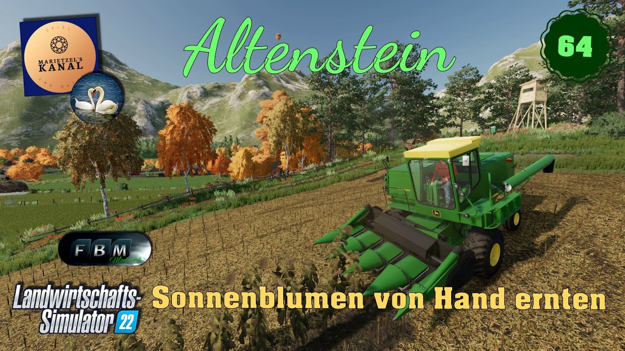 LS 22 Altenstein 64 Sonnenblumen von Hand ernten YouTube